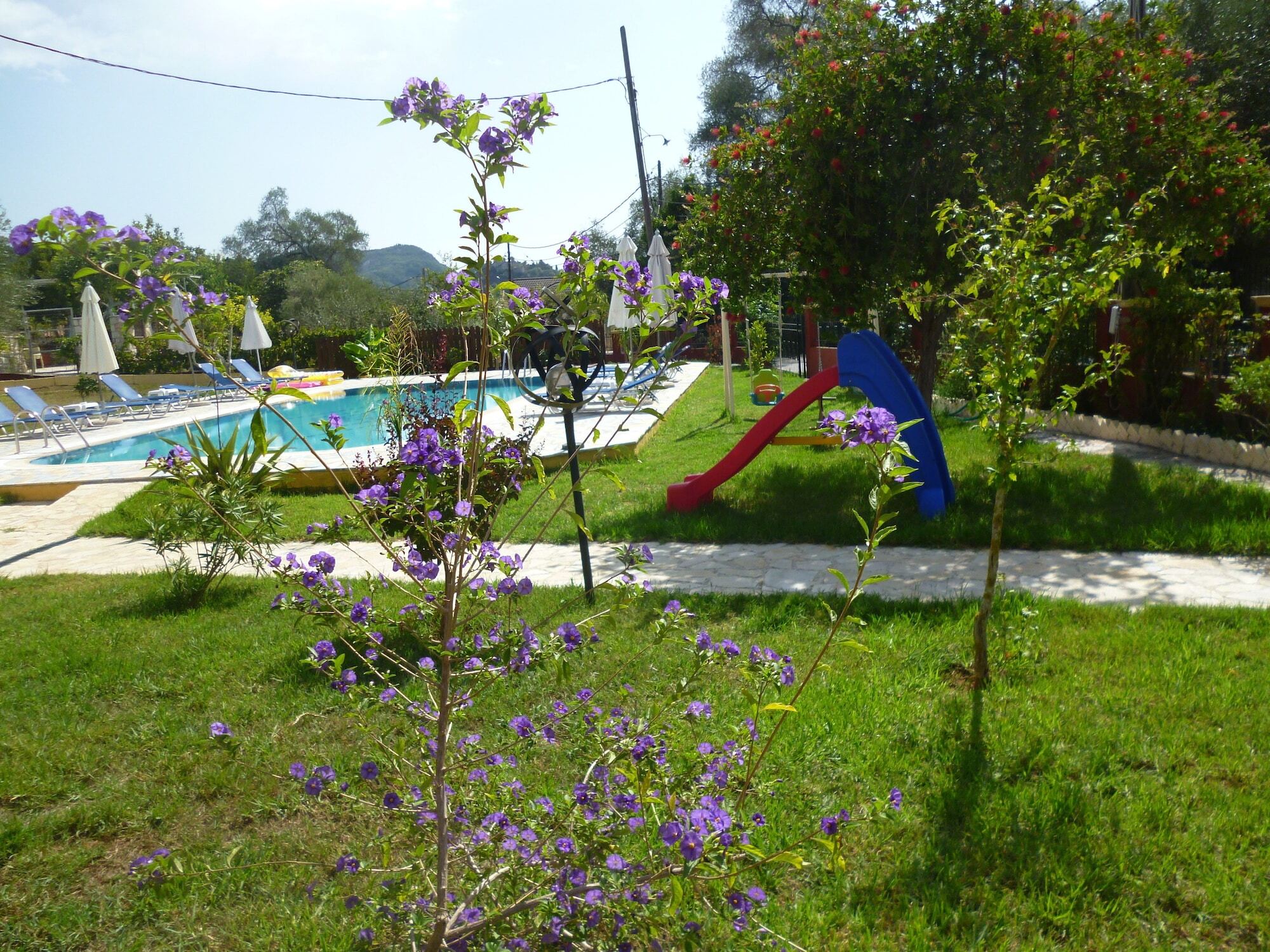 Aparthotel Dimas V House Parga Esterno foto